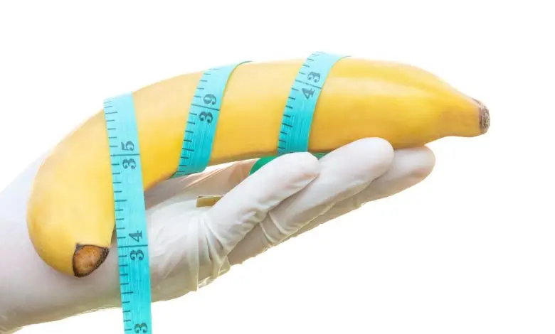 como aumentar o pênis naturalmente